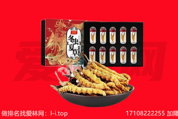 石家庄回收虫草.jpg